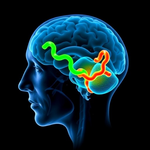 onset-age-shapes-sphingolipid-dopamine-parkinson’s-progression