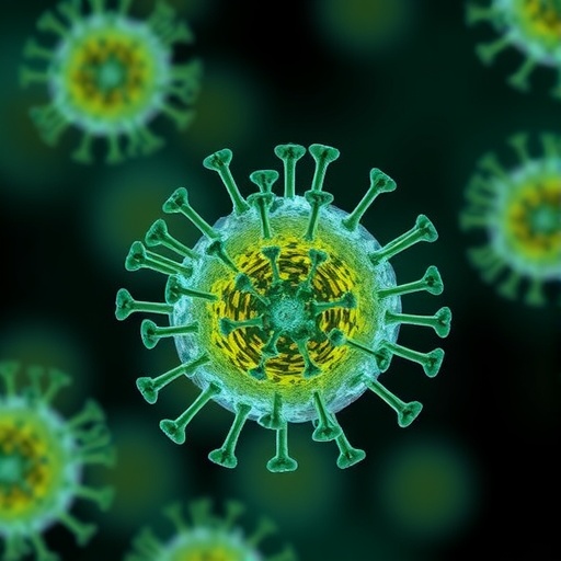 novel-live-attenuated-vaccines-for-venezuelan-equine-encephalitis