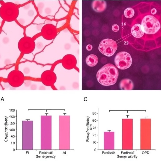 endothelial-senescence-alters-t-cell-activity-in-copd