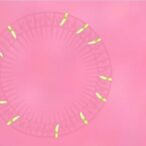 gper1-curbs-skin-inflammation-by-halting-keratinocytes