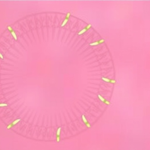 gper1-curbs-skin-inflammation-by-halting-keratinocytes