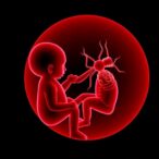 in-utero-chikungunya-exposure-linked-to-child-health-risks