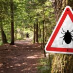 pfizer,-valneva-blame-low-lyme-cases-for-phase-3-vaccine-fail-but-still-plan-approval-push