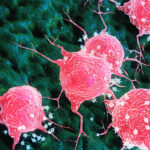 immunotherapy-for-solid-tumors-enhanced-by-metabolite-sensing-receptors