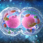 xaira’s-first-virtual-cell-model-is-largest-to-date,-toward-complex-biology