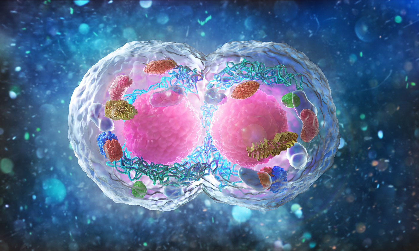xaira’s-first-virtual-cell-model-is-largest-to-date,-toward-complex-biology