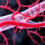 reinforced-biotubes:-readily-available-regenerative-vascular-grafts