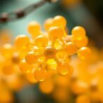 isolated-h2-reduced-clusters-boost-co2-to-methanol-catalysis