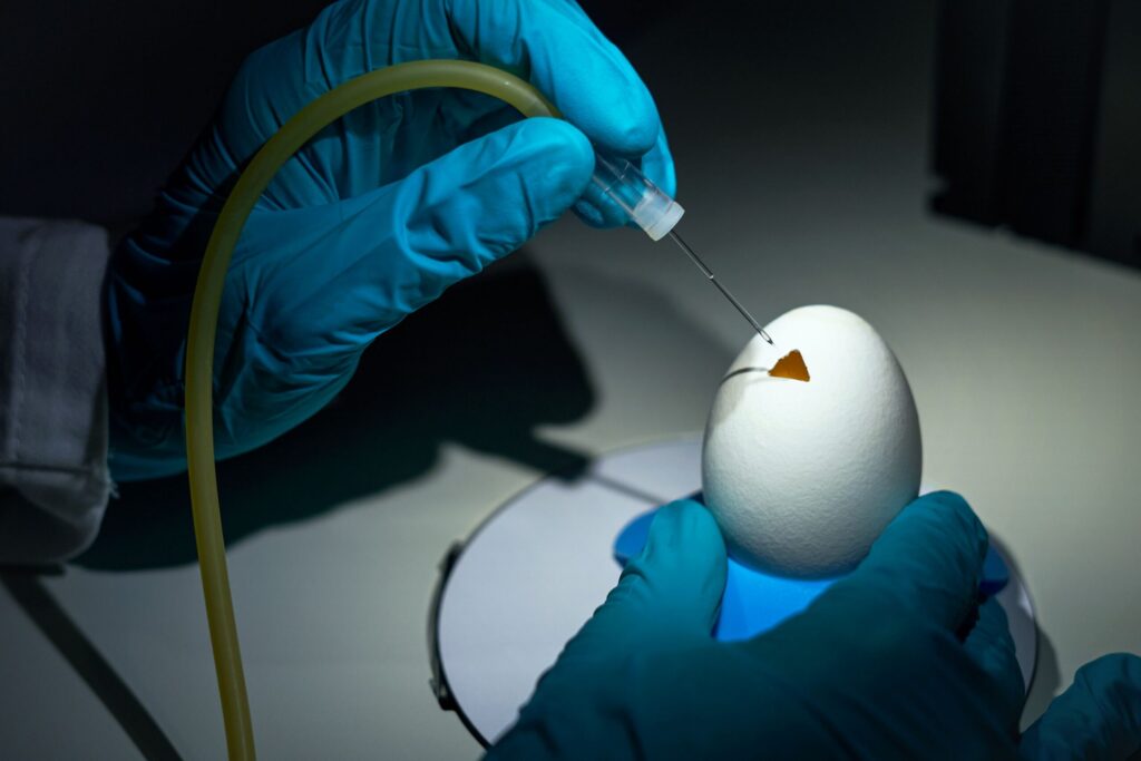 egg-based-biologics-drive-neion-bio-pharma-deal