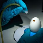 egg-based-biologics-drive-neion-bio-pharma-deal