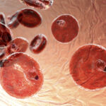 complete-genome-sequencing-reveals-malaria-mosquito-adapting-to-insecticides