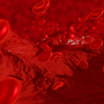 blocking-tie2-protein-may-prevent-blood-vessel-defects-in-the-brain