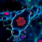 cancer-reveals-hidden-germline-autoimmunity-via-nmdar