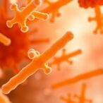 bacteria-integrate-polyfluoroalkyl-carboxylates-into-membranes