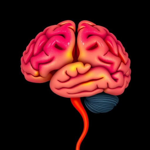 life-satisfaction-and-cognitive-reserve-shape-aging-brains