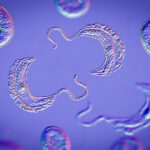 african-trypanosomes-use-a-molecular-shredder-to-avoid-detection-in-the-bloodstream