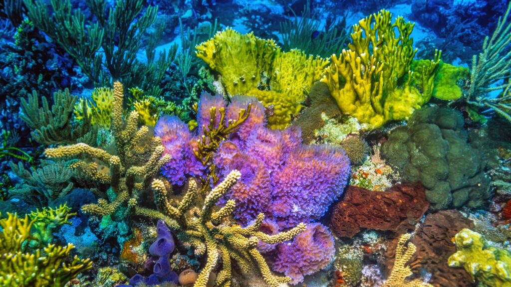 merck-dives-into-detailed-phase-3-data-showing-pcsk9-pill-easily-outswims-rivals