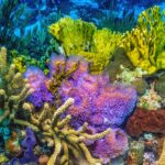 merck-dives-into-detailed-phase-3-data-showing-pcsk9-pill-easily-outswims-rivals