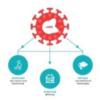 sars-cov-2-antibody-transfer-and-neonatal-transmission-factors