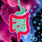 sialic-acid-worsens-pcos-via-gut-microbiota