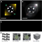 enhanced-co2-photo-reduction-achieved-with-synergistic-pd-sites-in-ordered-macroporous-in2o3