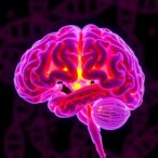 researchers-link-rna-editing-dysregulation-to-abnormal-fetal-brain-development-in-down-syndrome