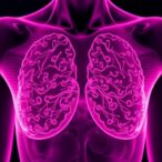 new-comprehensive-map-of-breast-tissue-changes-uncovers-how-menopause-influences-cancer-risk