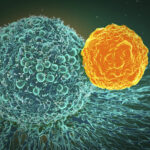 car-t-cell-therapy-unlocks-solid-tumors,-targets-upar-surface-protein-in-mice