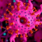 enhancing-car-t-therapy-in-pancreatic-cancer-by-targeting-tumor-supporting-cells