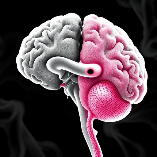 unraveling-white-matter-changes:-vascular-vs.-neurodegeneration