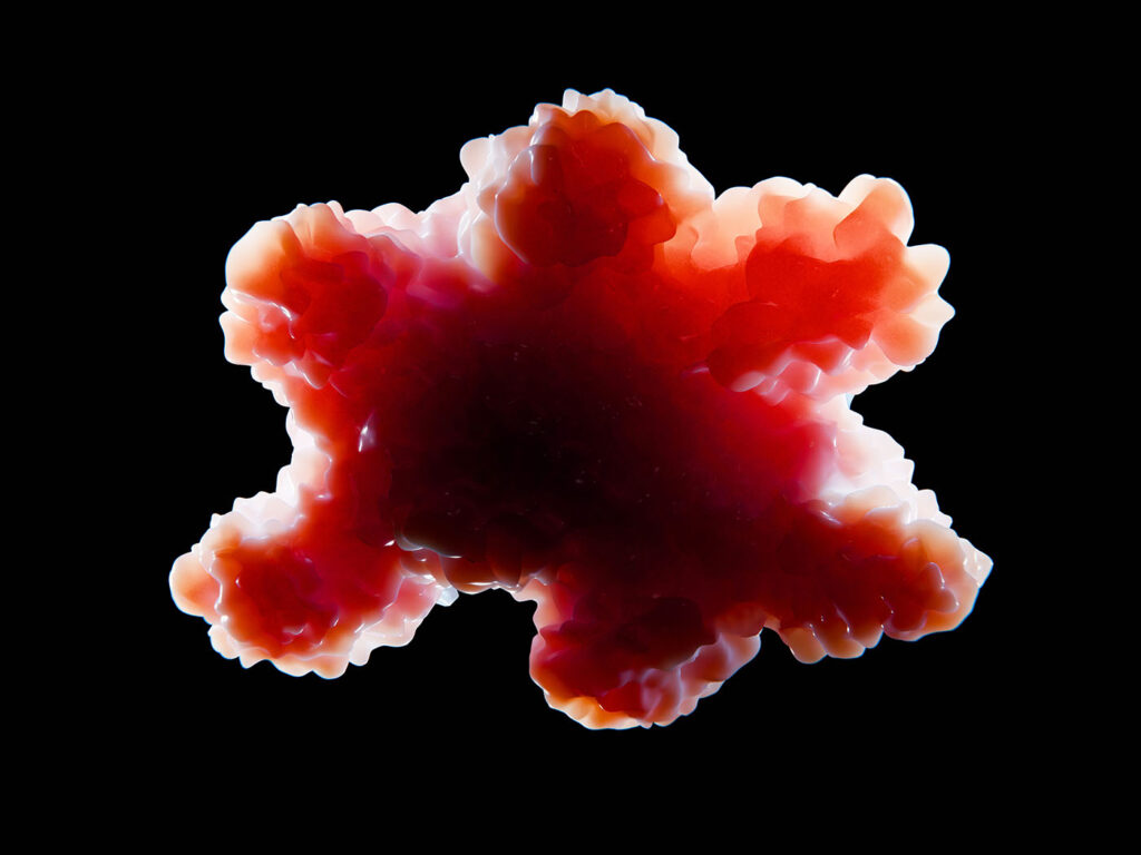 powering-the-organoid-revolution-with-scalable,-human-based-systems