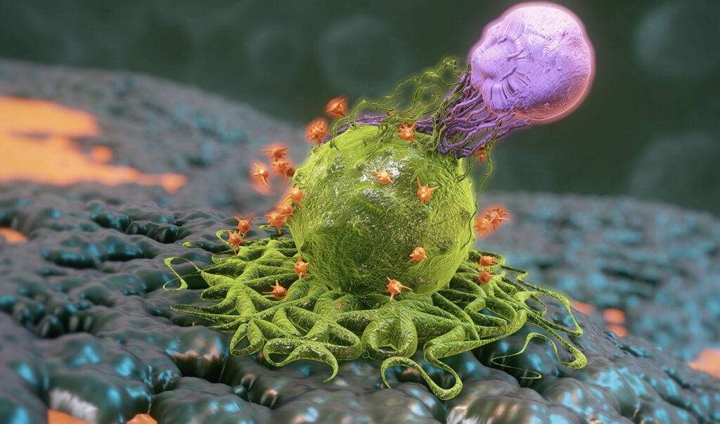 rewriting-car-t-from-within