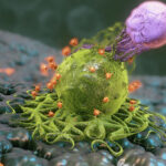 rewriting-car-t-from-within