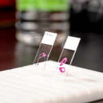 bringing-tumor-complexity-into-focus