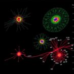 single-cell-four-omics-maps-gene-regulation