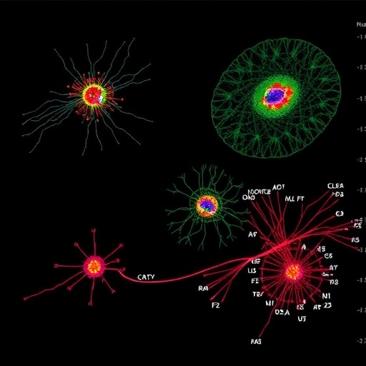 single-cell-four-omics-maps-gene-regulation