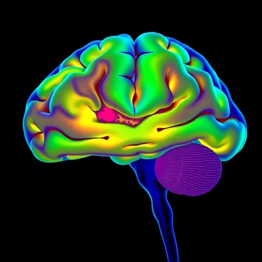dorsoventral-hippocampus-reactivates-after-aversive-sleep