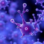 aldh1l2-controls-ros-and-pancreatic-cell-changes