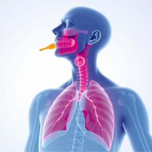tim-3-agonist-limits-ilc2,-eases-airway-reactivity