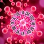 correcting-clock-and-bmal1’s-role-in-cancer-cells