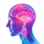 newly-discovered-chronic-pain-circuit-unveils-potential-avenues-for-innovative-treatments