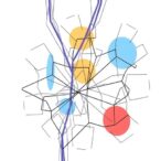 examining-replicability-in-social-and-behavioral-sciences