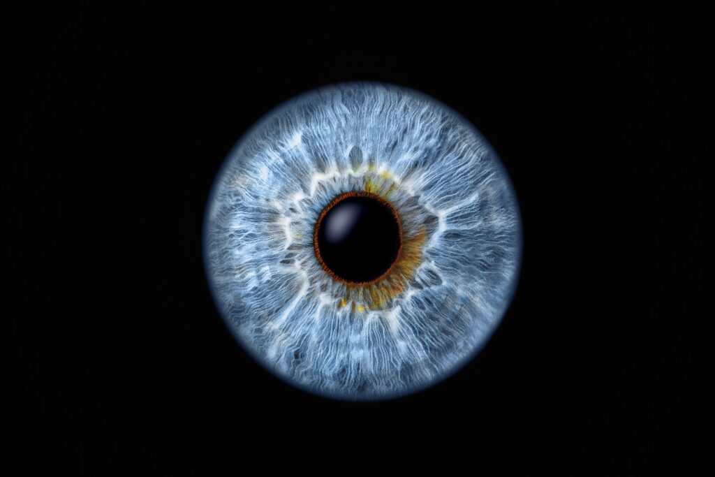 immunovant’s-fcrn-inhibitor-flunks-phase-3-eye-disease-trials,-validating-biotech’s-waning-interest