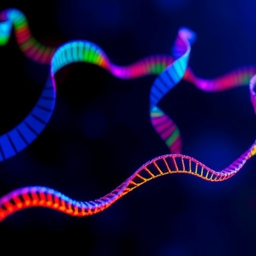 innovative-tool-simplifies-the-study-and-modification-of-gene-regulation