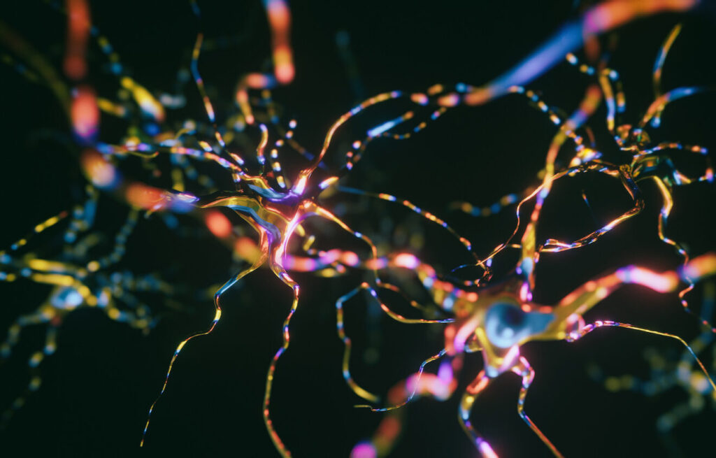 growing-conductive-polymers-directly-in-the-brain