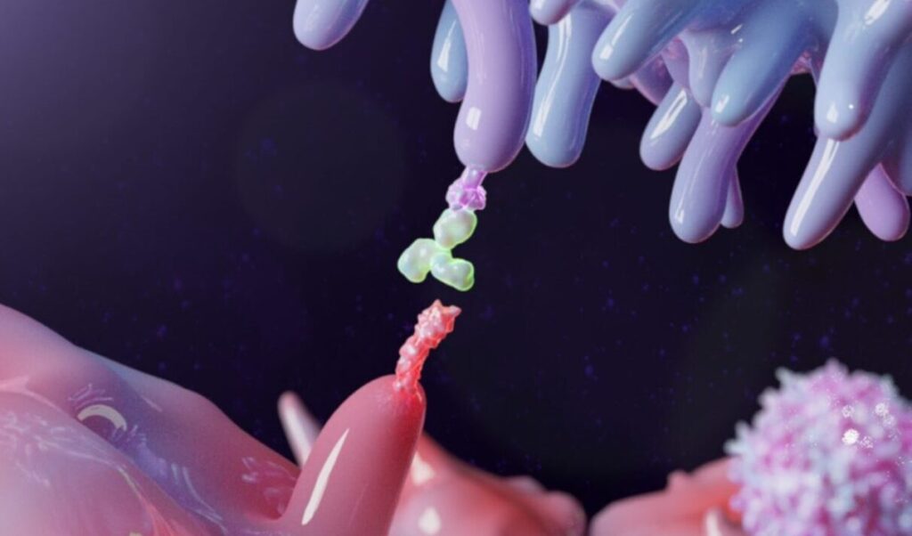 combining-novel-dual-hif-inhibitors-with-immunotherapy-erases-multiple-tumor-types-in-mice