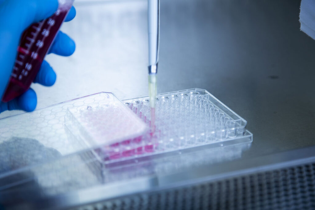 cell-line-development-has-to-evolve