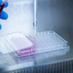 cell-line-development-has-to-evolve