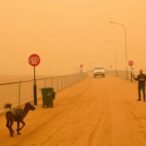national-dust-storm-impact-on-tourism-and-infrastructure