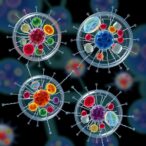 cells-sharing:-transporting-cytoplasmic-contents-and-organelles-between-living-cells